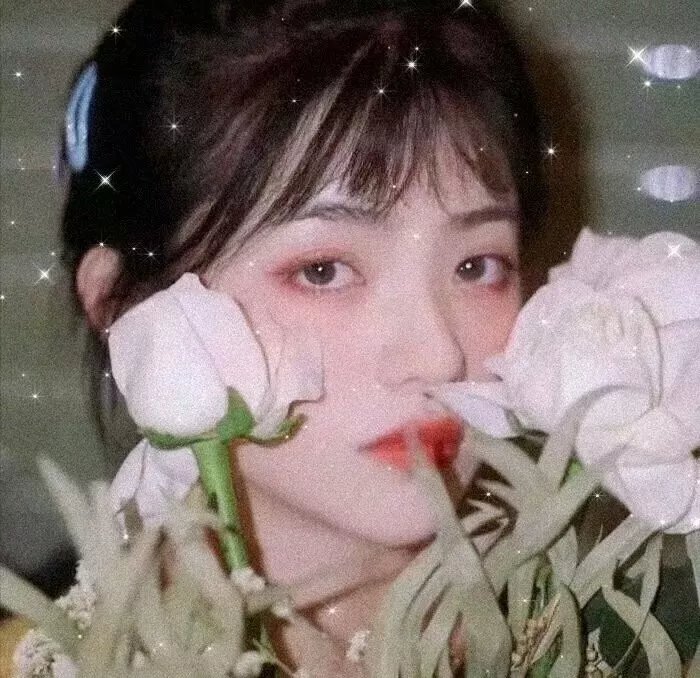 坏姐妹第一季
